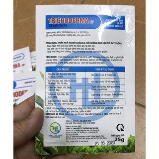 Nấm đối kháng Trichoderma sp Streptomyces