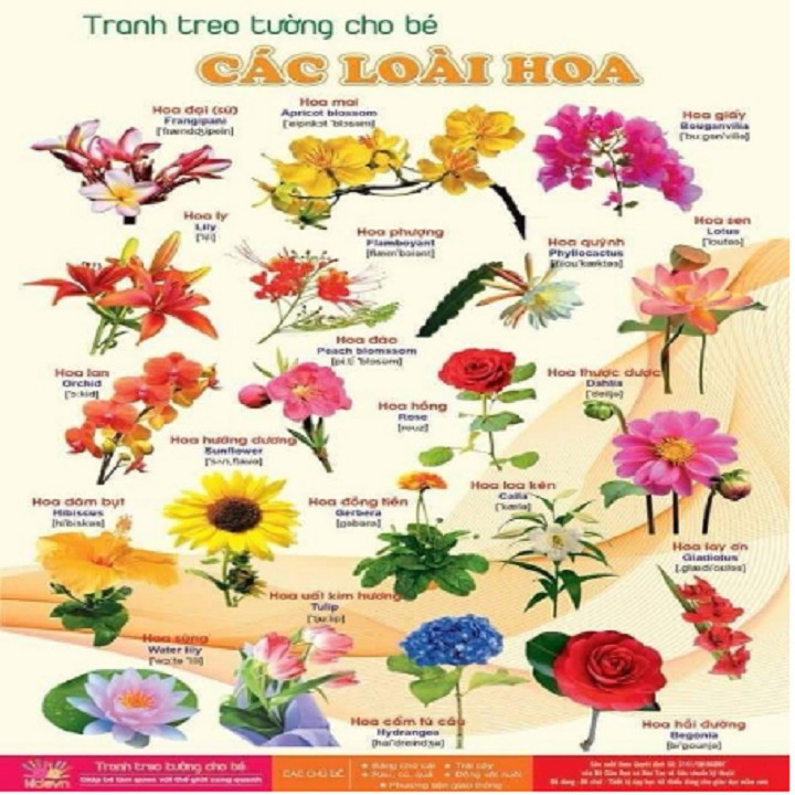 BỘ TRANH TREO TƯỜNG 14 CHỦ ĐỀ VỀ THẾ GIỚI XUNG QUANH CHO TRẺ TỪ 6 THÁNG TUỔI