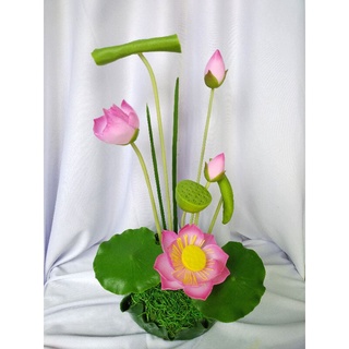 Chậu hoa sen cao 30cm