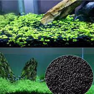 Phân Nền Gex Xanh Nhật Bản - Phân Nền Thủy Sinh