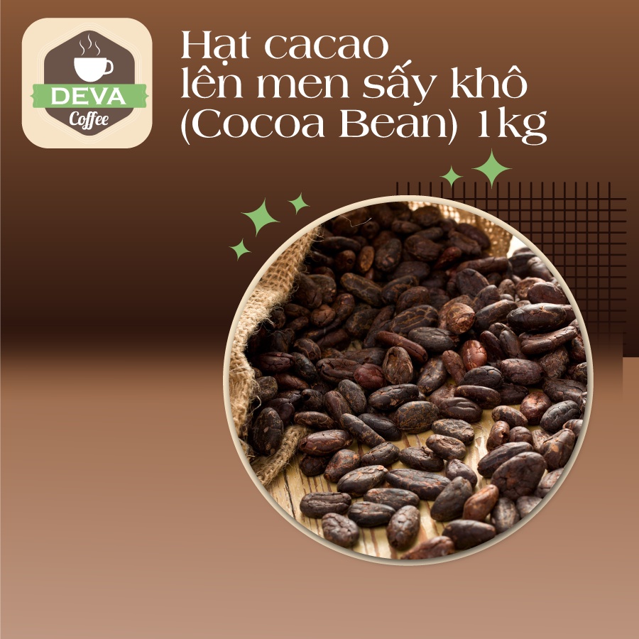Hạt cacao lên men sấy khô (Cocoa Bean) 1kg