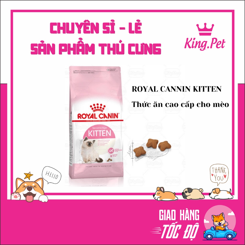 ROYAL CANNIN KITTEN- Thức ăn cao cấp cho mèo