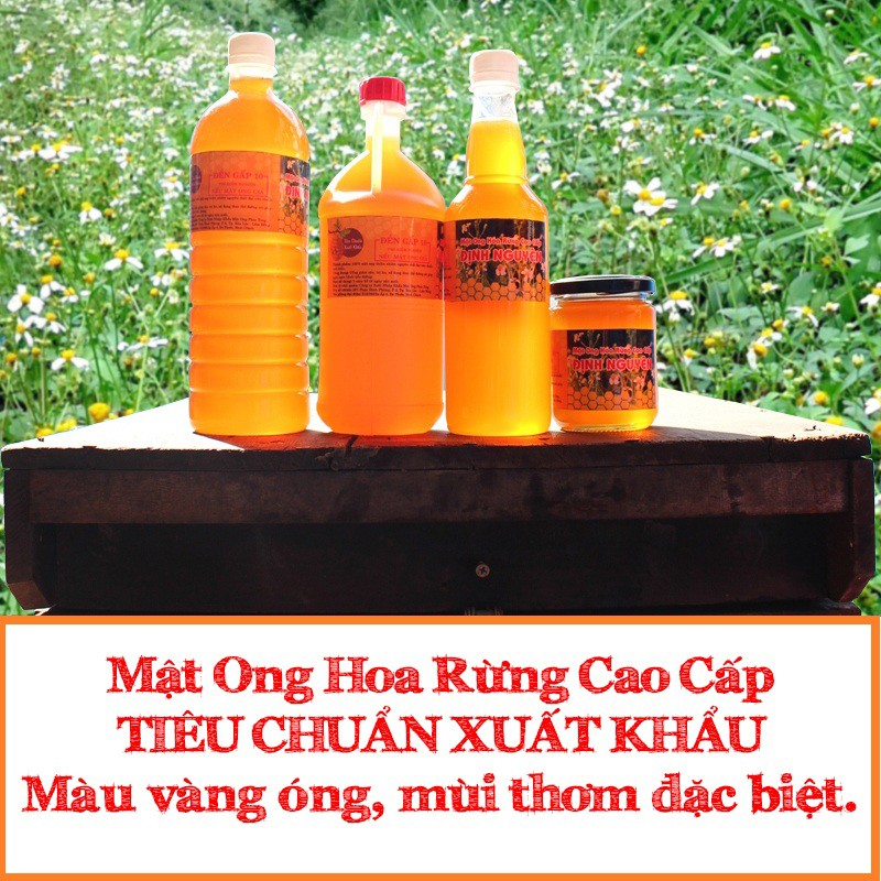 [Mã 156FMCGSALE hoàn 8% đơn 500K] Mật Ong Hoa Rừng Cao Cấp Định Nguyên 1000ml | BigBuy360 - bigbuy360.vn