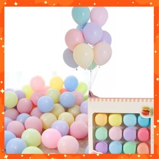 Bong bóng trang trí màu pastel phụ kiện trang trí sinh nhật Sunny