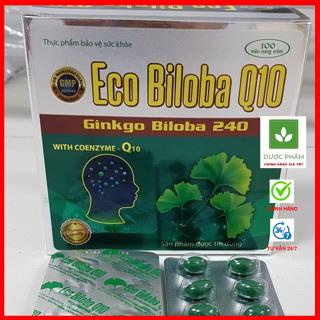 Bổ não Hoạt huyết dưỡng não Eco biloba Q10 - Ginkgo Biloba 240 - Cải thiện trí nhớ, tăng cường lưu thông máu lên não V32