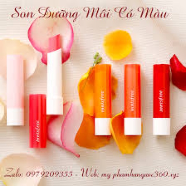 Son dưỡng môi nhiều màu Đ | BigBuy360 - bigbuy360.vn