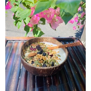 Combo Bát Trộn Gáo Dừa Handmade