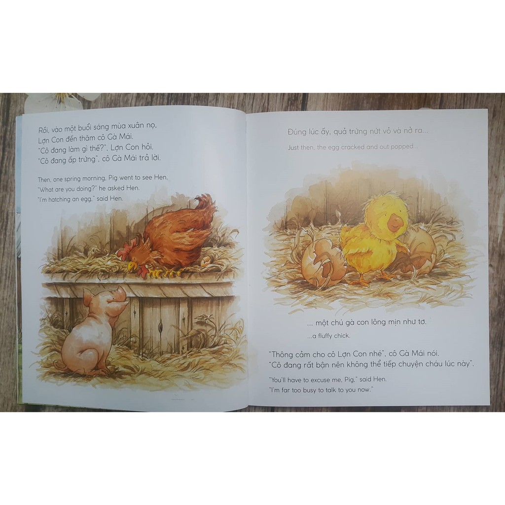 Sách - Quả Trứng Của Lợn Con – Pig’S Egg (Picuter Book Song Ngữ 3-8 tuổi)