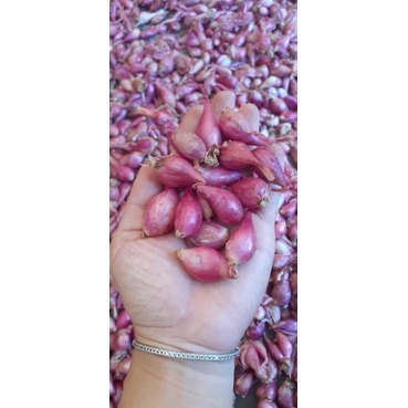 Hành Lý Sơn size trung 1kg