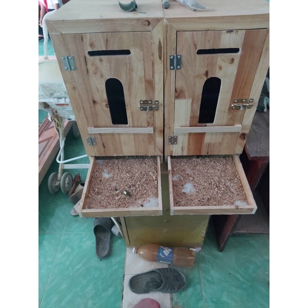 Tủ ngủ và dưỡng thương cho gà
