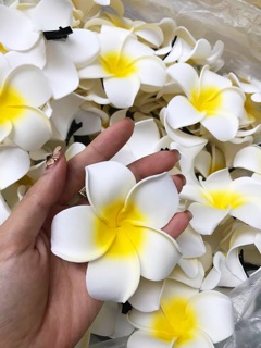 Kẹp hoa sứ đại phụ kiện dễ thương
