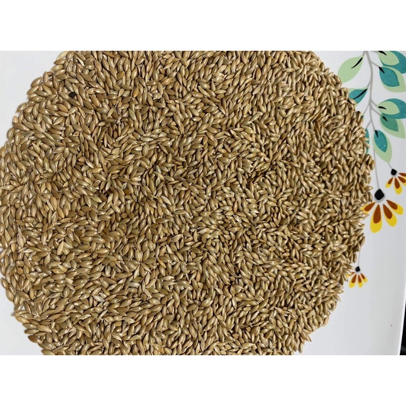 Hạt Láng cho vẹt