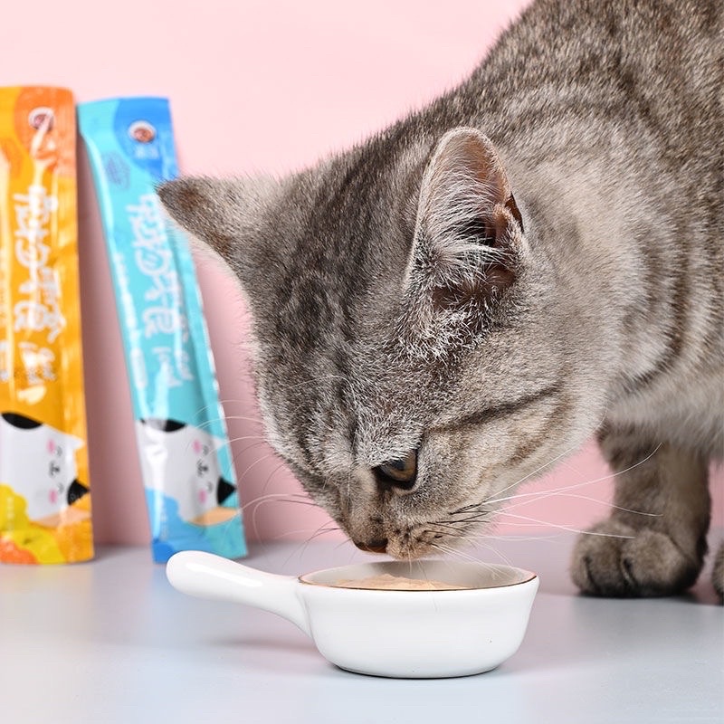 Súp thưởng cho  mèo shizuka, cat food đầy đủ dinh dưỡng giá rẻ thanh 15g