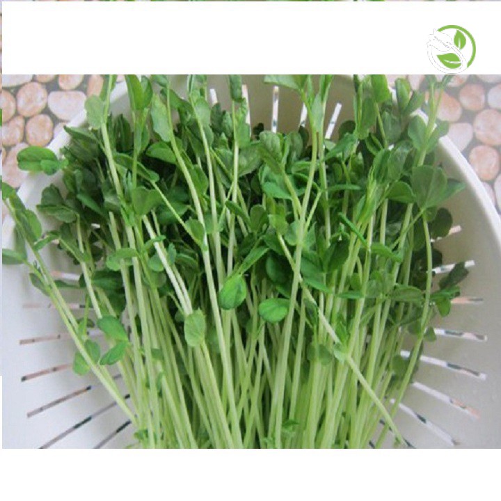 Hạt Giống Rau Mầm Đậu Hà Lan Phú Nông - Gói 50g - Green Peas Sprouts