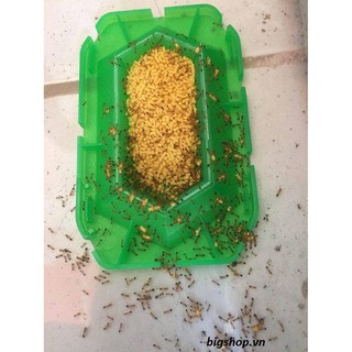 THUỐC DIỆT KIẾN NHẬT BẢN