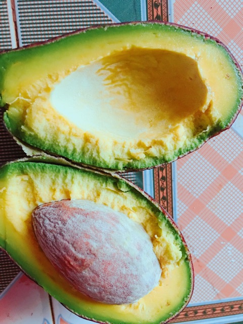 Bơ Trịnh Mười quả đẹp mịn màng