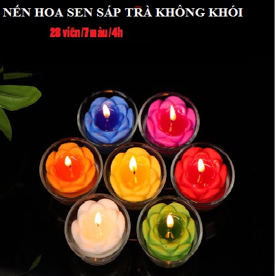 Nến hoa Sen Bơ sáp 7 MÀU 28 Nến  thơm không khói 4h 🕯(dùng bàn thờ gia tiên, phật, thần, ....)