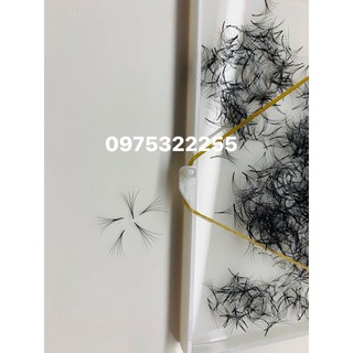 MI FAN SẴN 5D SIÊU MỀM, LÔNG CHỒN CONG C,CC,D ( 500FAN ) MDC LASHES, SỢI MI BẮT KEO