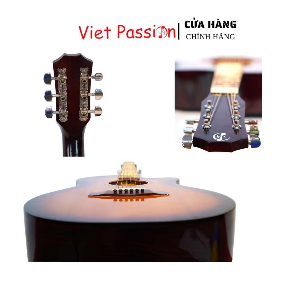 Đàn guitar acoustic SVA+ mặt gỗ Thông có ty chỉnh cong cần giá sinh viên chất lượng cao âm thanh tuyệt vời VietPassion