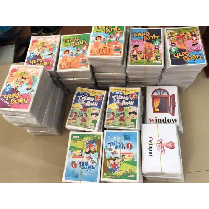 Flashcard Tiếng Anh lớp 1,2,3,4,5,6 _Theo chương trình mới BDG