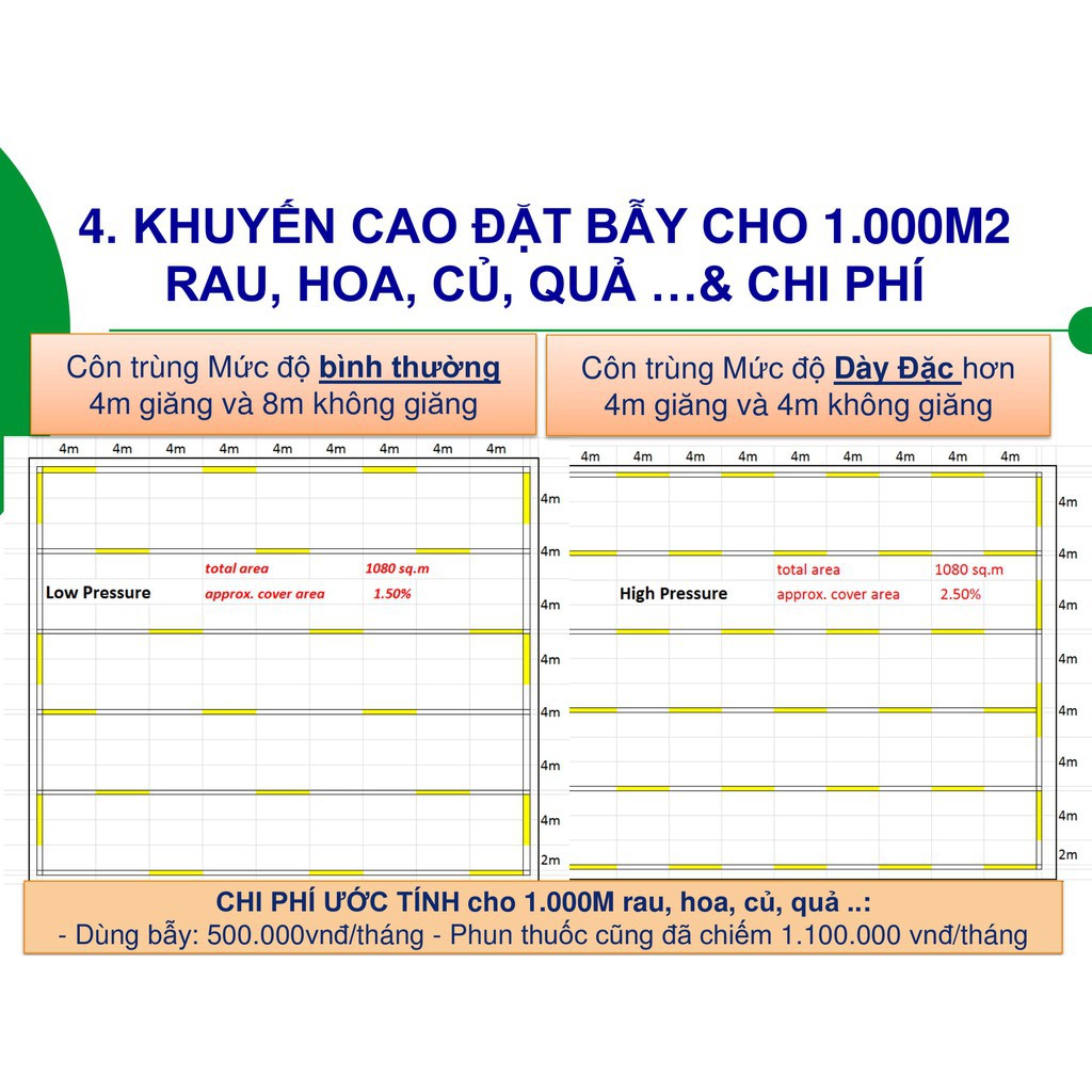 Bẫy ruồi vàng, bẫy ruồi cái, bẫy ruồi giấm và côn trùng bay khác bằng keo dính vàng nhập khẩu Israel (combo 20)