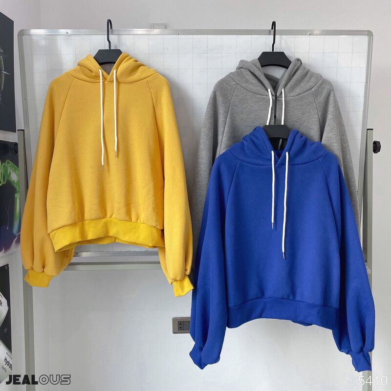 Áo hoodie nữ, áo hoodie crop trơn 5410 | BigBuy360 - bigbuy360.vn