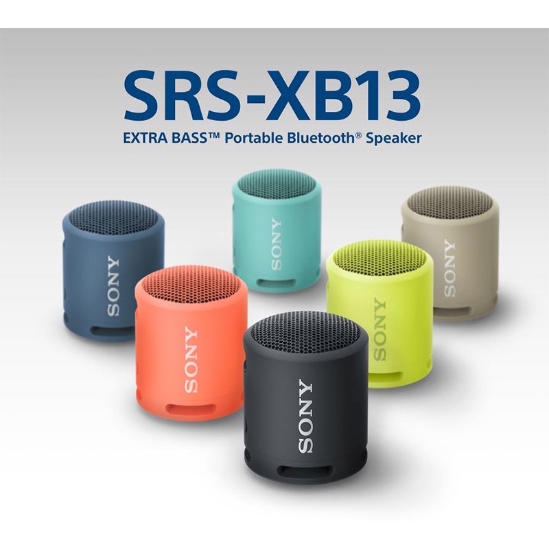 túi chống sock loa Vivan VS12 và Sony Srs-Xb12/13