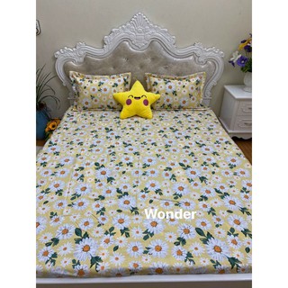 Sét ga gối cotton 100% Hàn Quốc