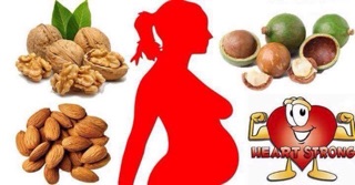 Quả óc chó Mỹ