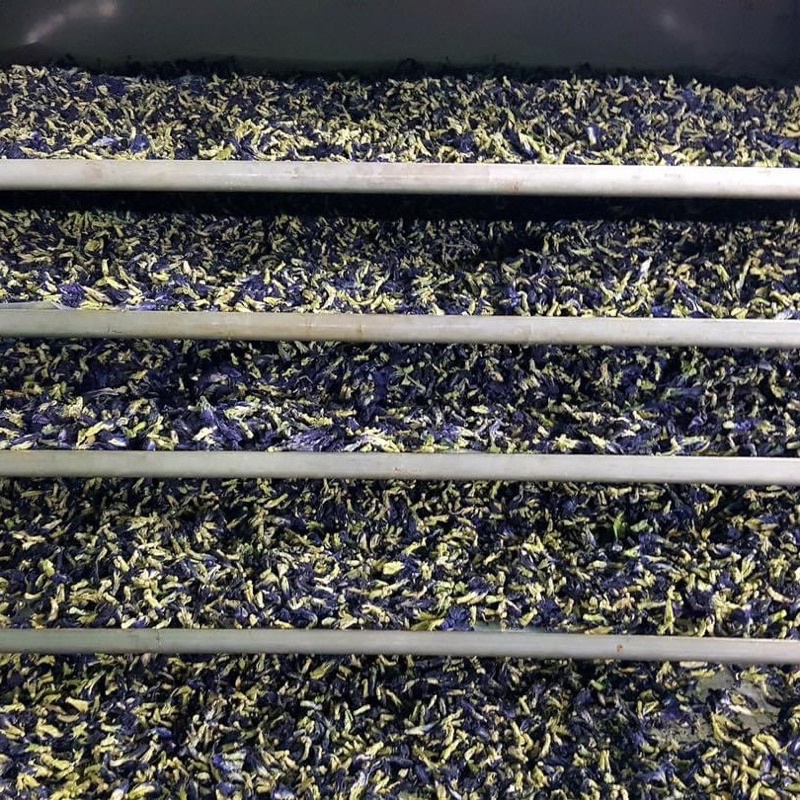 Hoa đậu biếc sấy lạnh Việt Nam - Trà hoa thảo mộc | Bột Natural