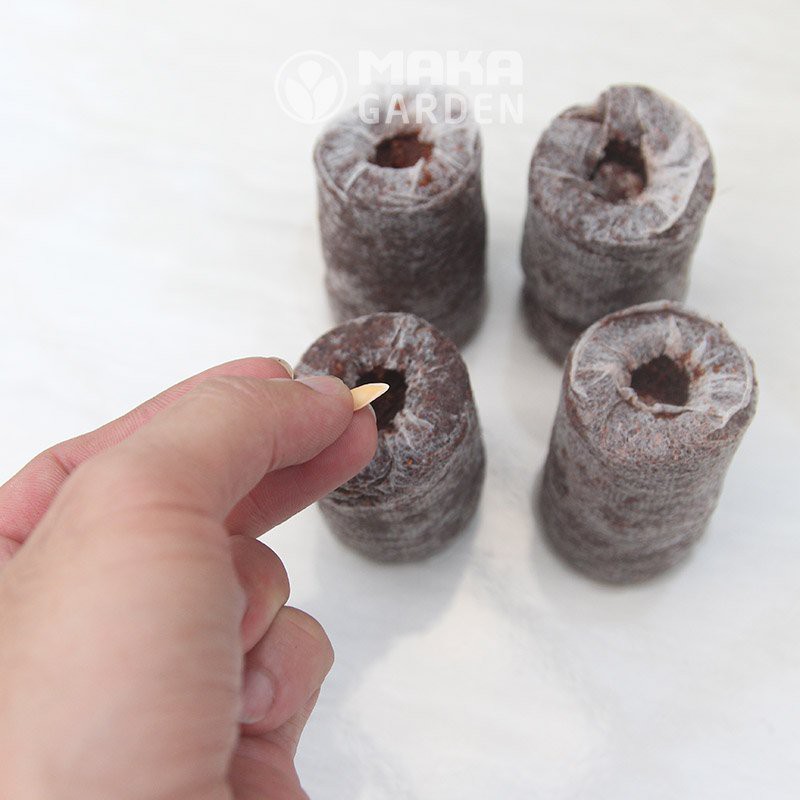 Viên Nén Xơ Dừa Ươm Hạt Giống Batrivina, Trồng Cây, Ươm Hạt, Ươm Cây Giống, Trồng Dâu Tây