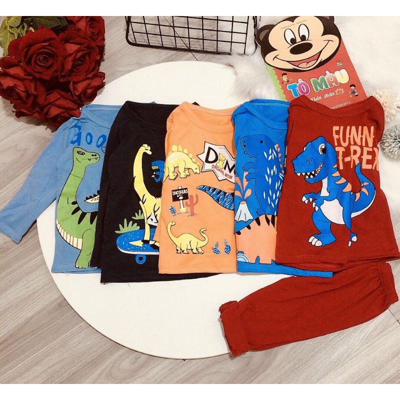 Bộ dài tay cotton bé trai 9-19kg