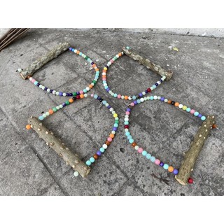 Xích đu trang trí lồng vẹt