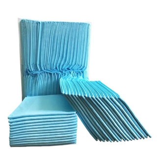 Miếng lót vệ sinh cho chó mèo (2 size)
