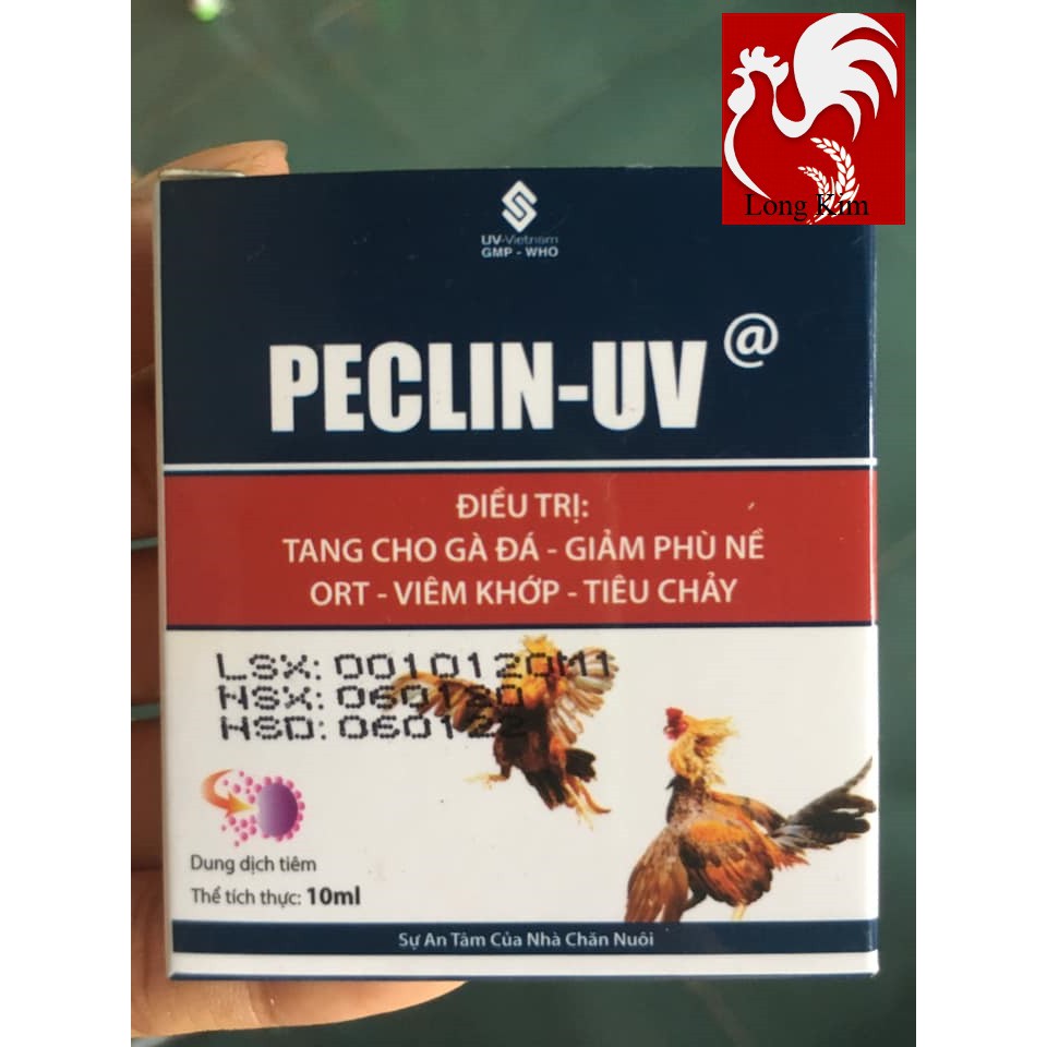 PECLIN UV 10 ML TAN MÁU BẦM - MAU LÀNH VẾT THƯƠNG CHO GÀ SAU KHI ĐÁ - (2 LỌ PHA CHÍCH)