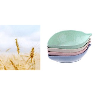 Bộ 4 bát đựng gia vị làm từ lúa mạch