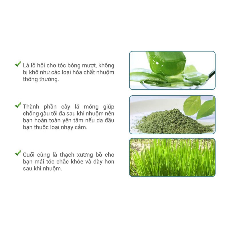 Bộ lược nhuộm tóc thông minh 1 nút bấm phiên bản cao cấp nhiều màu (phủ bạc) | BigBuy360 - bigbuy360.vn