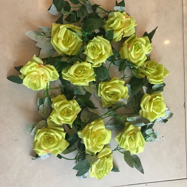 Dây hoa hồng màu vàng chanh
