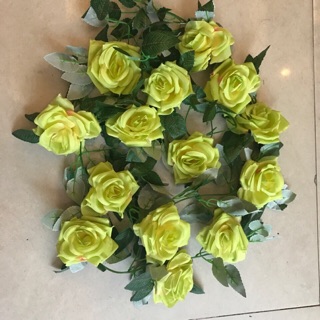 Dây hoa hồng màu vàng chanh