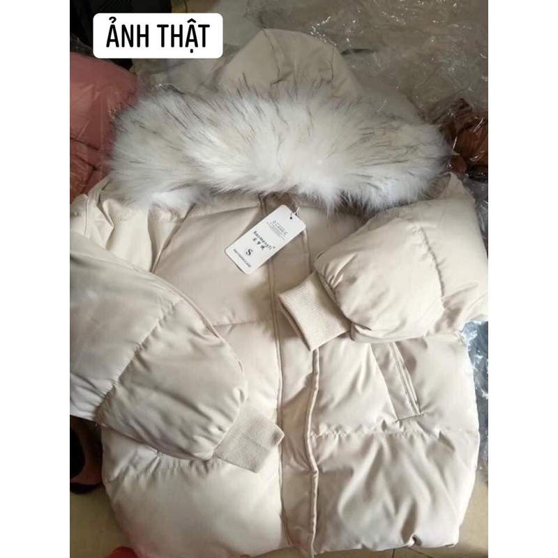 Áo phao đại hàn