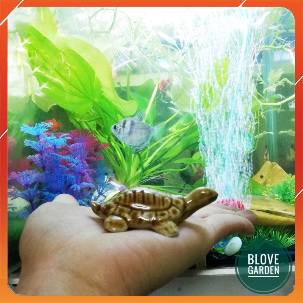 [GIÁ SỐC - GIẢM 30%]Mô hình rùa con trang trí bể cá, làm mô hình, tiểu cảnh sân vườn