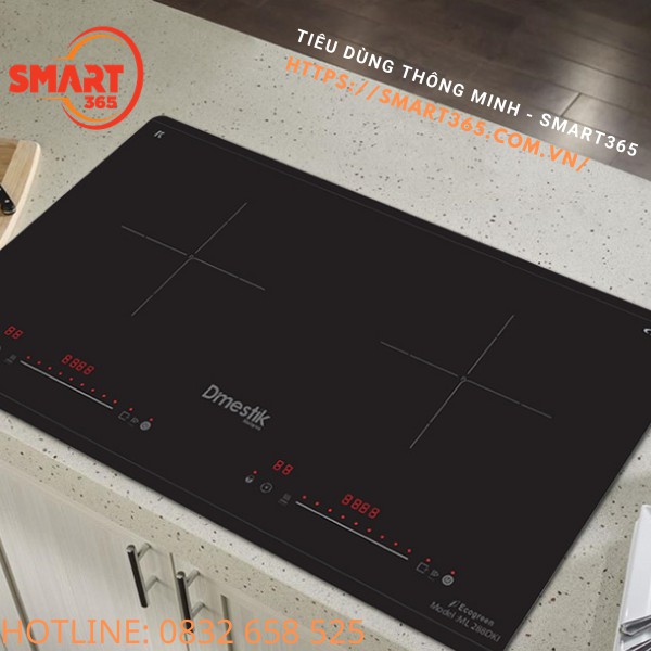 BẾP TỪ DMESTIK ML288 DKI