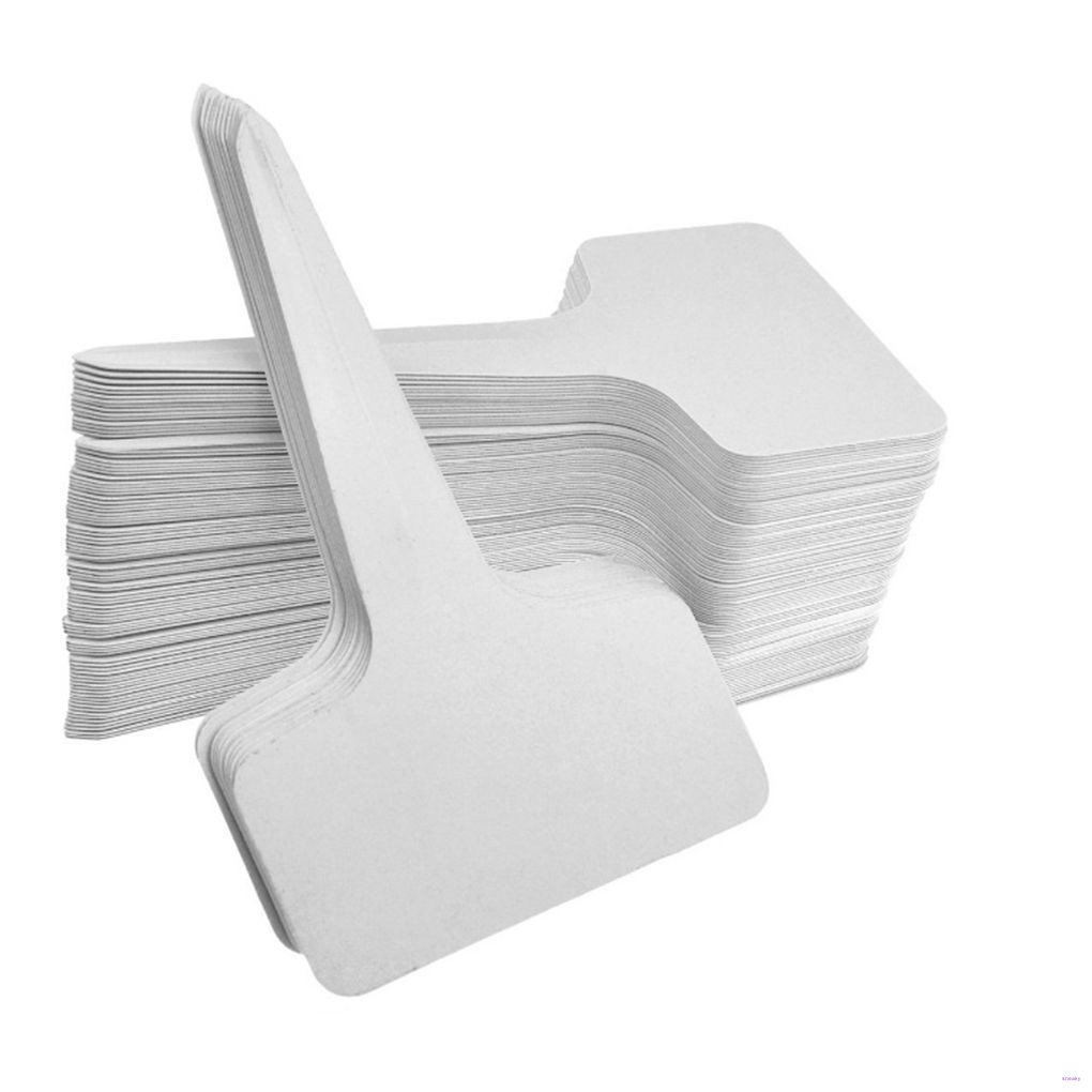 Set 10 Thanh Nhựa Chữ T Đánh Dấu Cây Cảnh Tiện Dụng