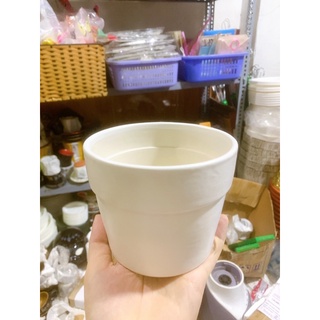 Chậu sứ trồng cây màu pastel
