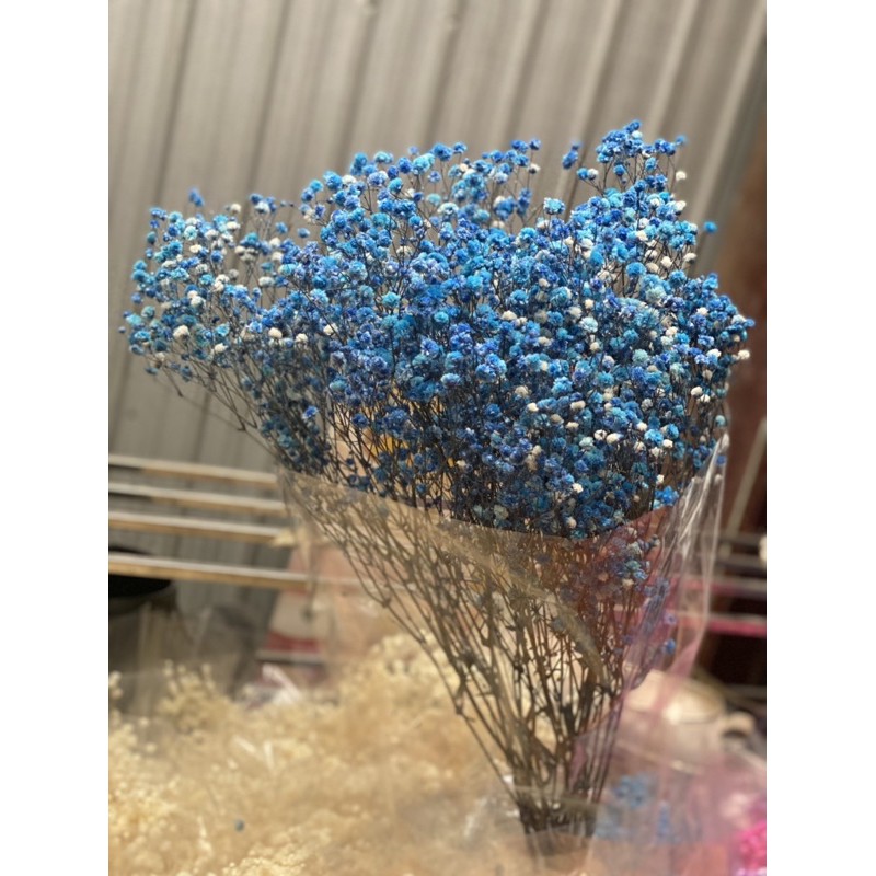 Hoa baby khô ( bó 110g)