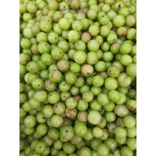 combo 5kg quả me rừng (amla)