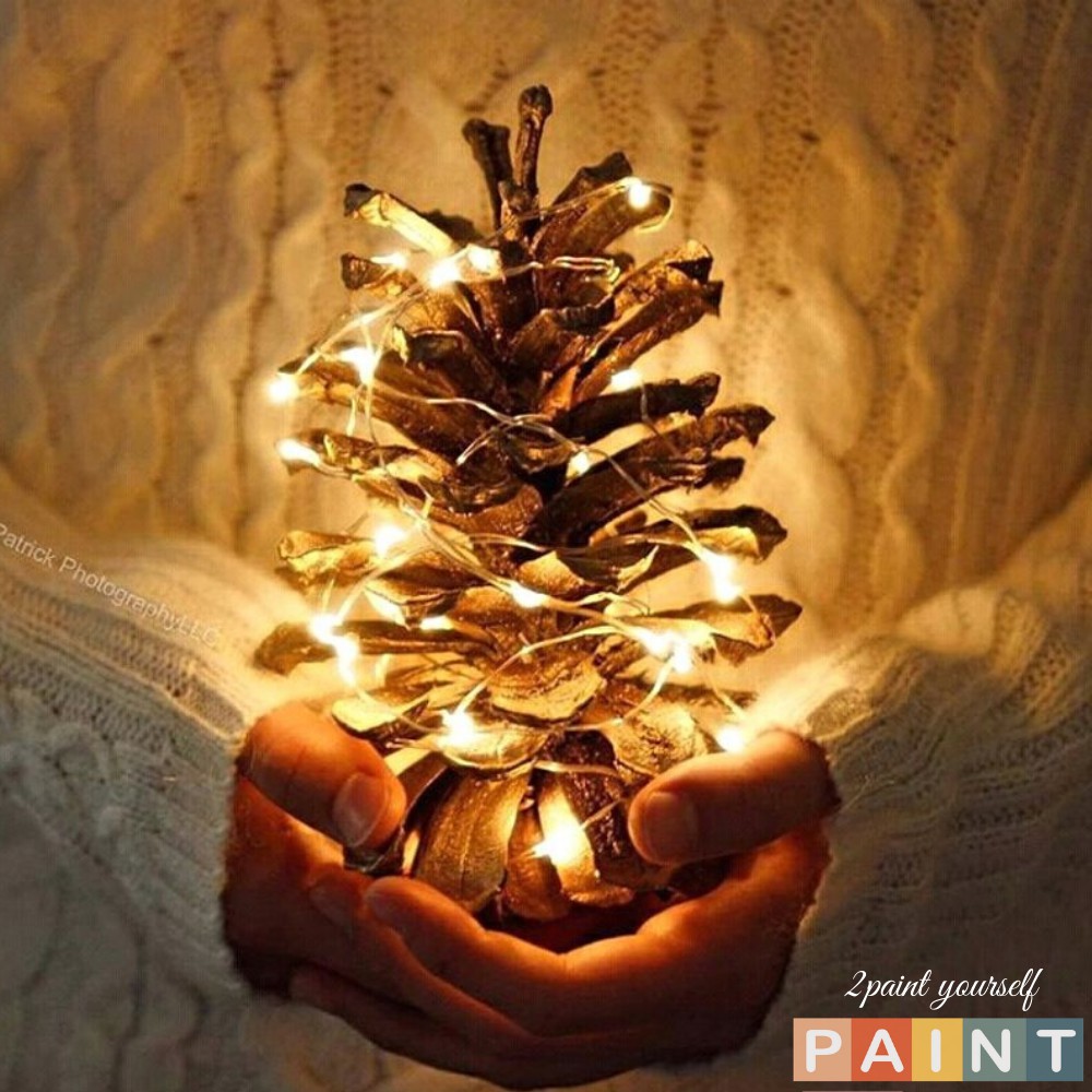 Dây đèn LED đom đóm, Đèn LED dây fairylight trang trí, dài 1m-2m decor trang trí nhà cửa