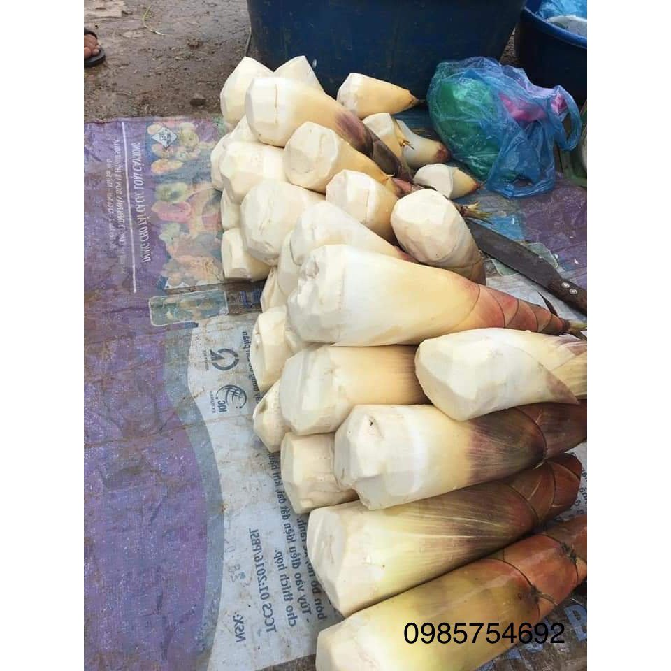 Măng khô Tây Bắc, măng bẹ đặc sản vùng cao loại 1 phơi nắng tự nhiên