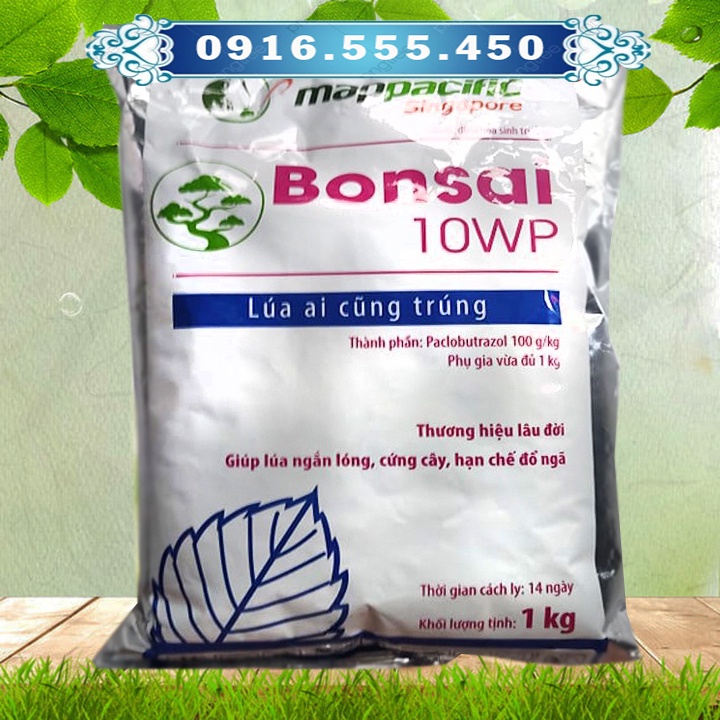 BONSAI 10WP ức chế sinh trưởng cây trồng, giúp cứng cây, ra hoa trái vụ