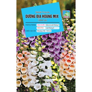 Hạt giống Hoa Dương Địa Hoàng Mix (VAH.58) – 100 Hạt
